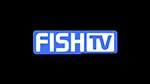 Fsh TV ao vivo