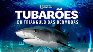 Triângulo das Bermudas ao vivo