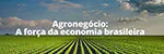 Agronegócio: a força da economia brasileira