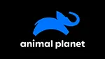 Mini image do canal Animal Planet Ao Vivo