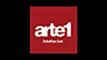 Logo do canal Arte 1 Ao Vivo Online