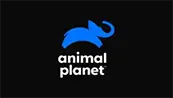 Animal Planet Ao Vivo Online