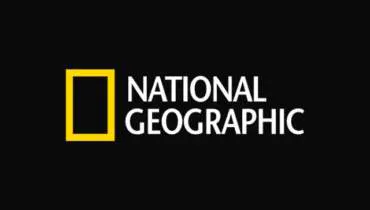 Logo do canal National Geographic Ao Vivo Online